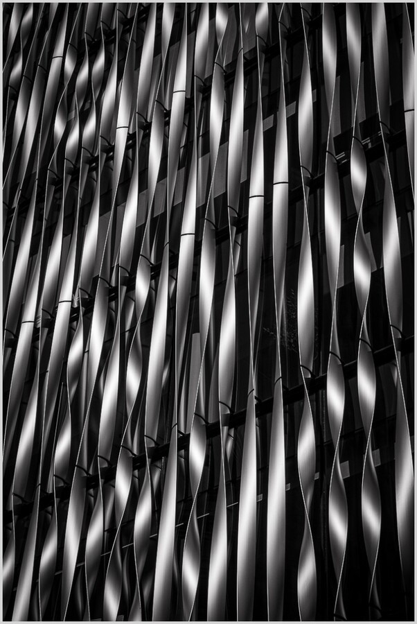 Rippling - Tim Stott